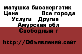 матушка-биоэнергэтик › Цена ­ 1 500 - Все города Услуги » Другие   . Амурская обл.,Свободный г.